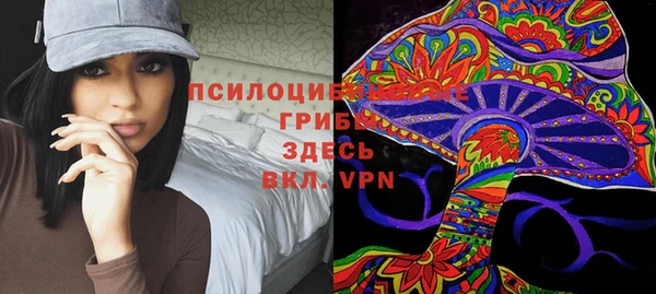 экстази Медвежьегорск