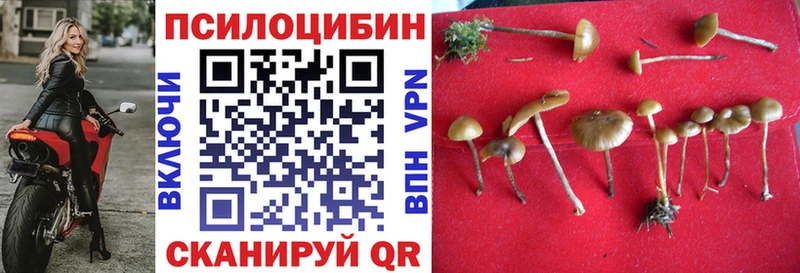 Галлюциногенные грибы Cubensis Чекалин